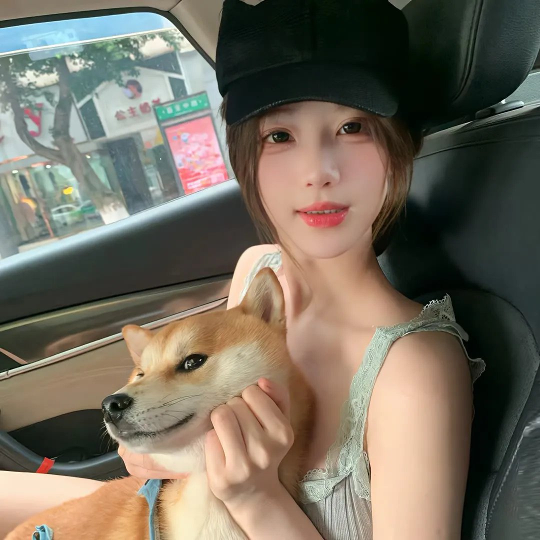淘气托托大冒险